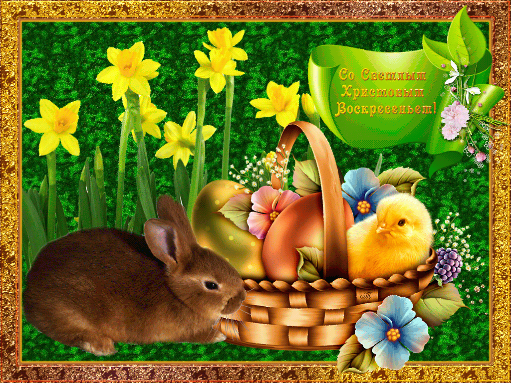 Easter Wishes HD Wallpaper 9to5animations
