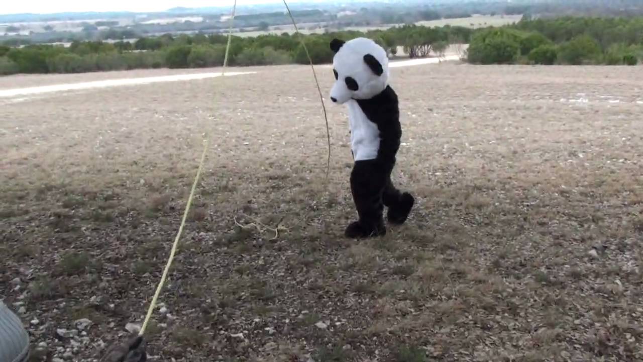 Dude Perfect Panda Maxresdefaultjpg