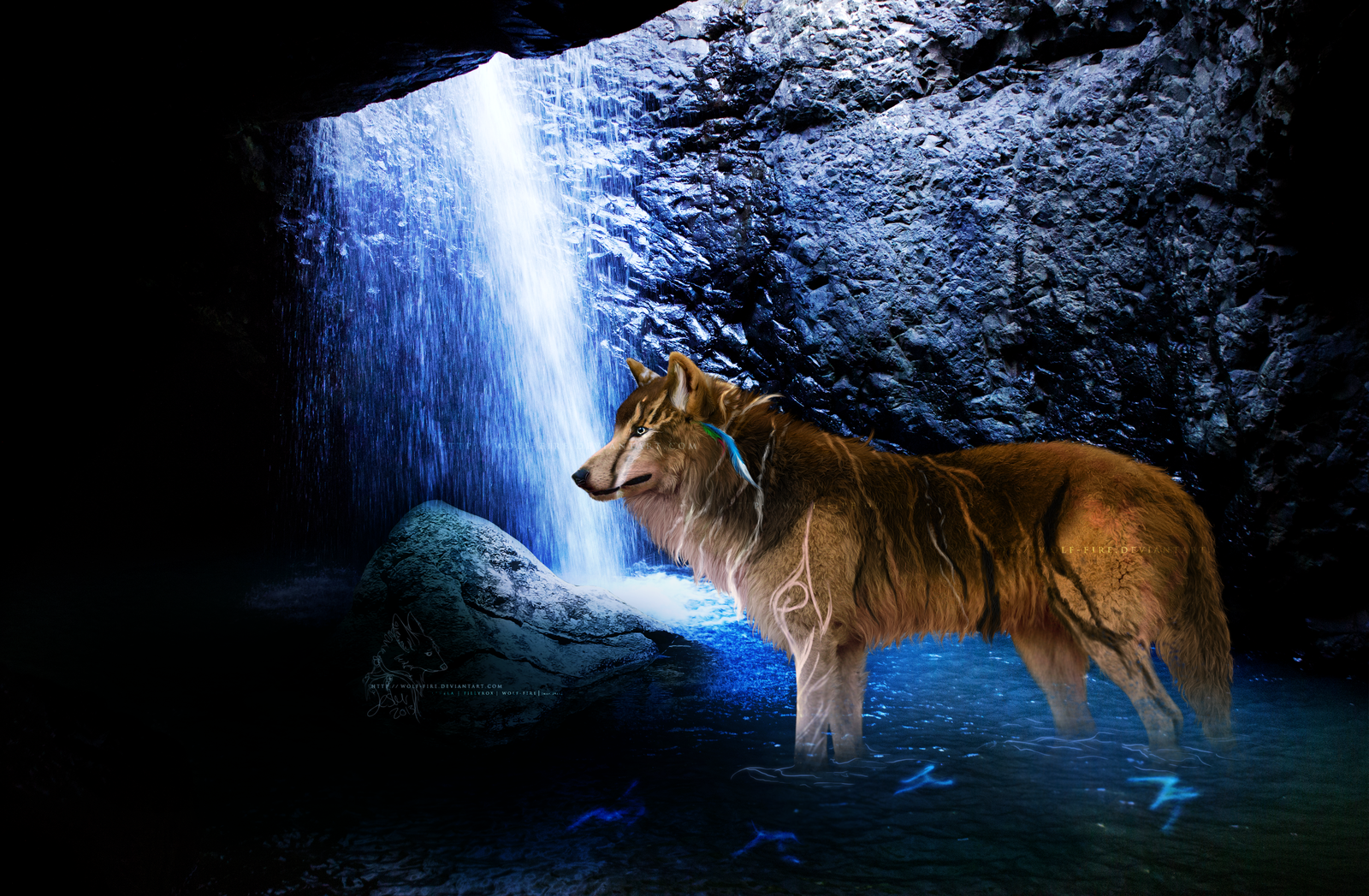 Wolf Fire Digital Art Photomanipulation Animals Plants