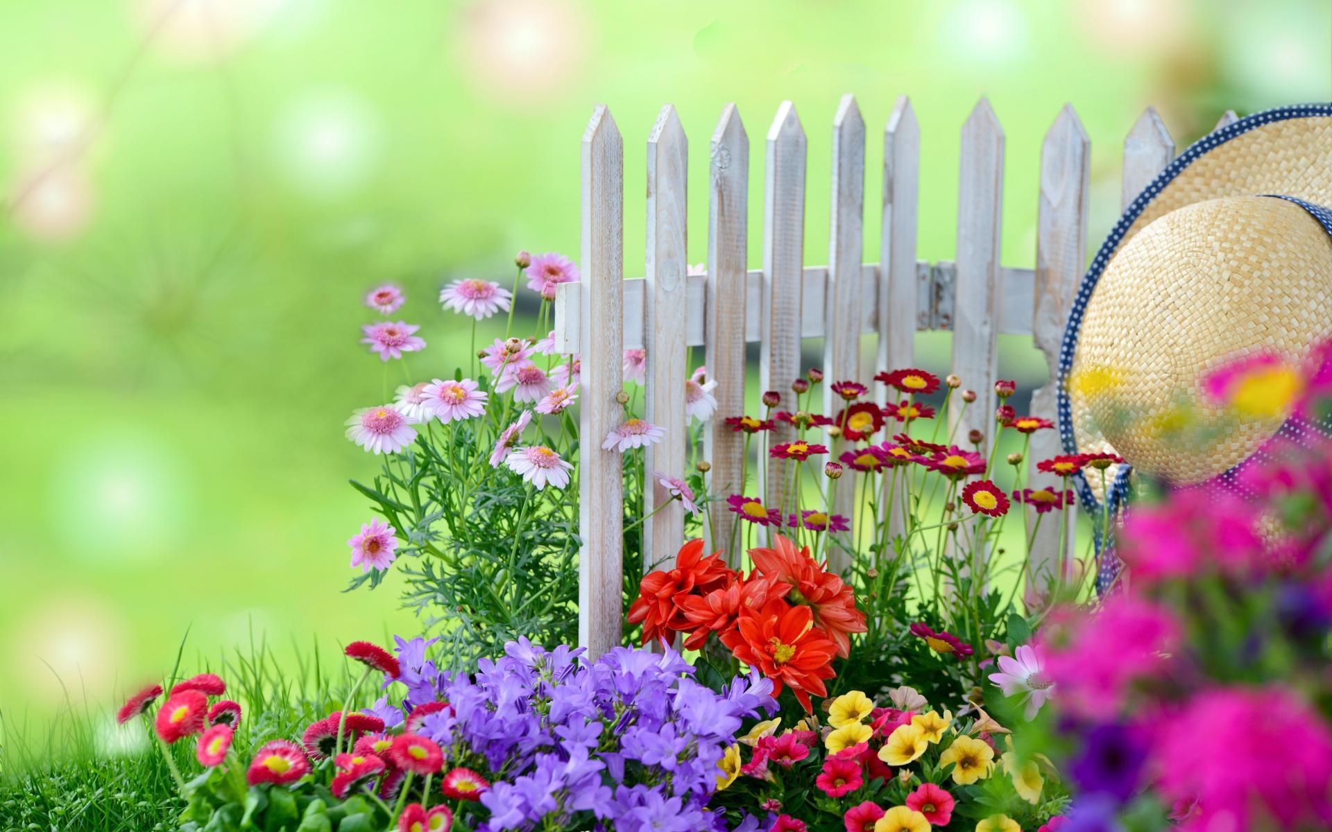 Garden Wallpaper