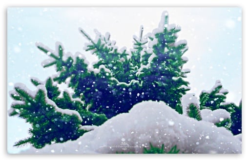 Let it Snow HD wallpaper for Standard 43 54 Fullscreen UXGA XGA SVGA