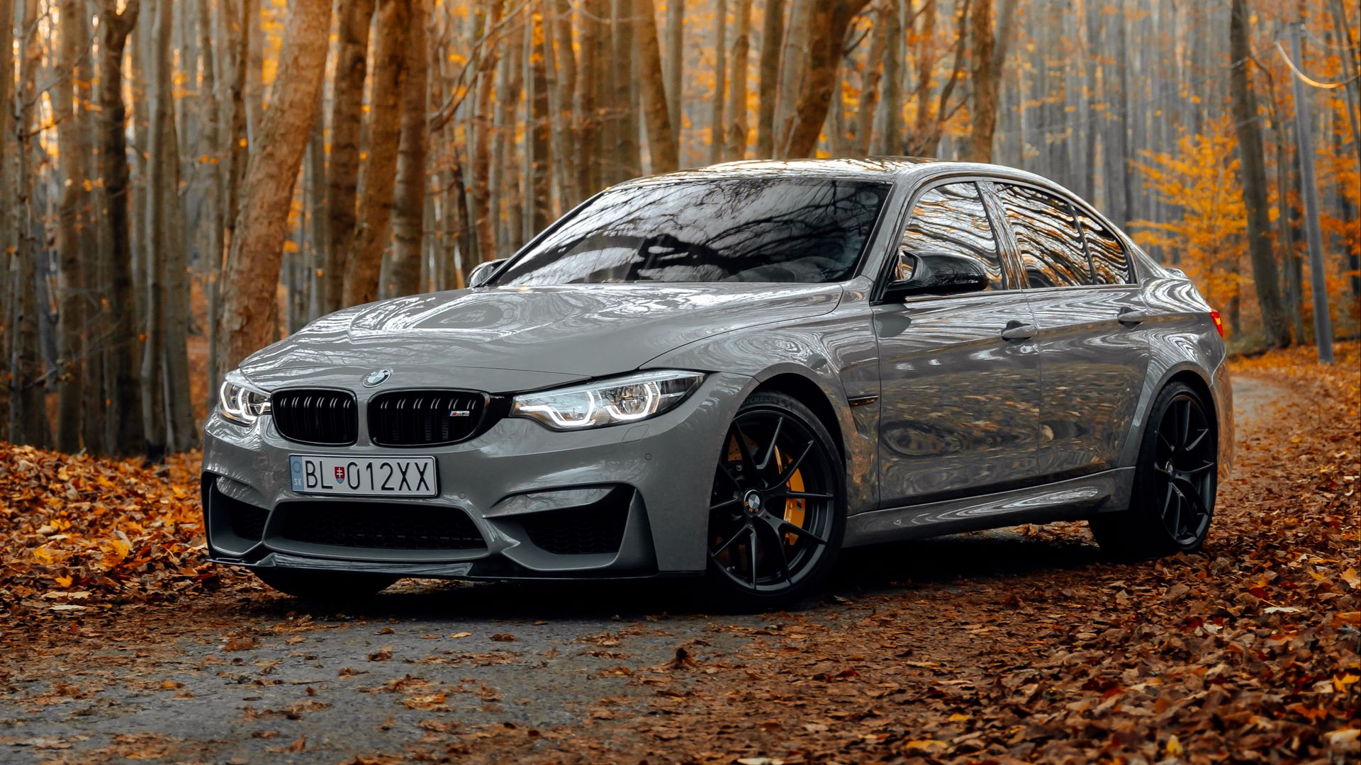 A gray BMW M3 sports sedan parked on a scenic road amidst an autumn forest, showcasing its sleek design and powerful presence