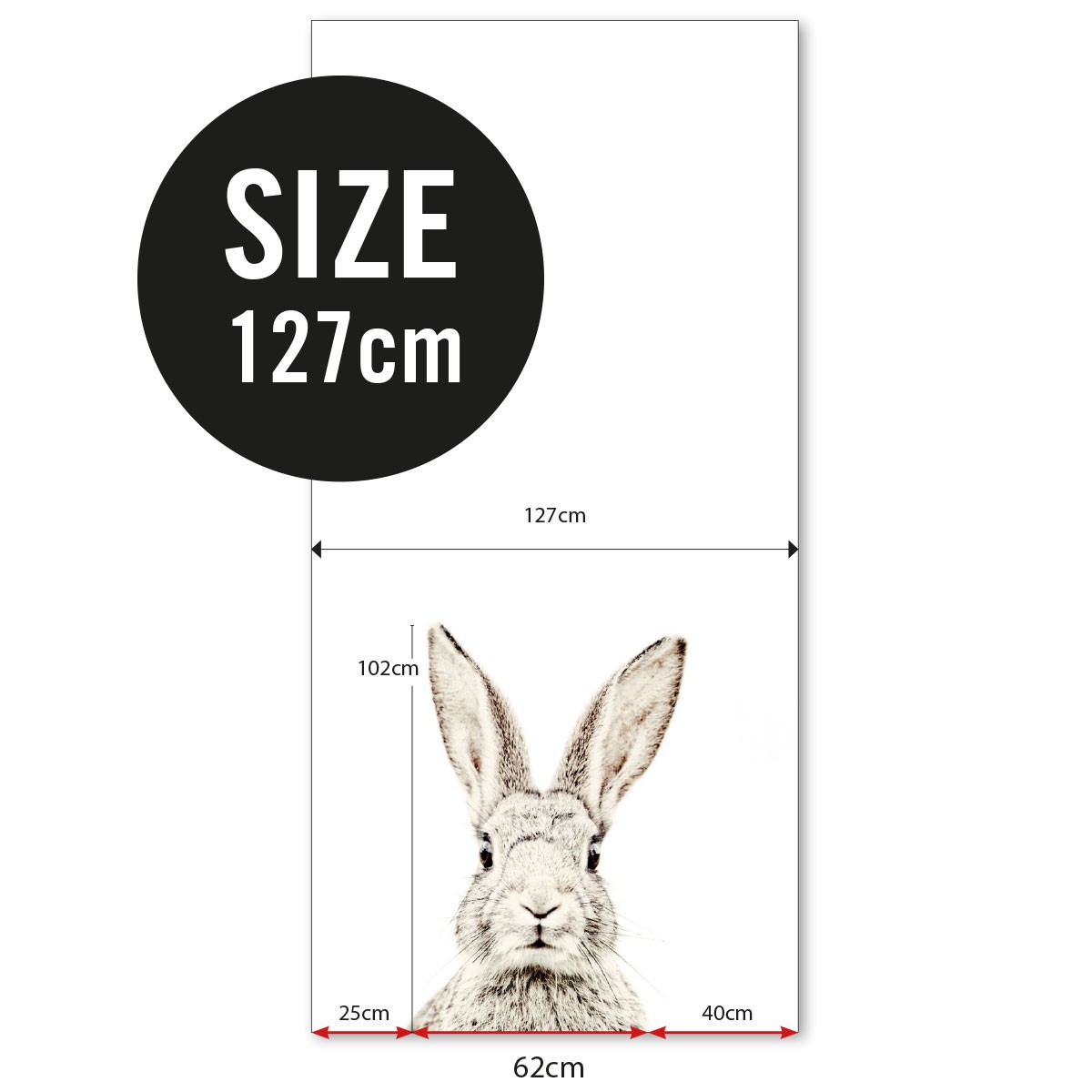 🔥 [46+] Rabbit Magnetic Wallpapers | WallpaperSafari