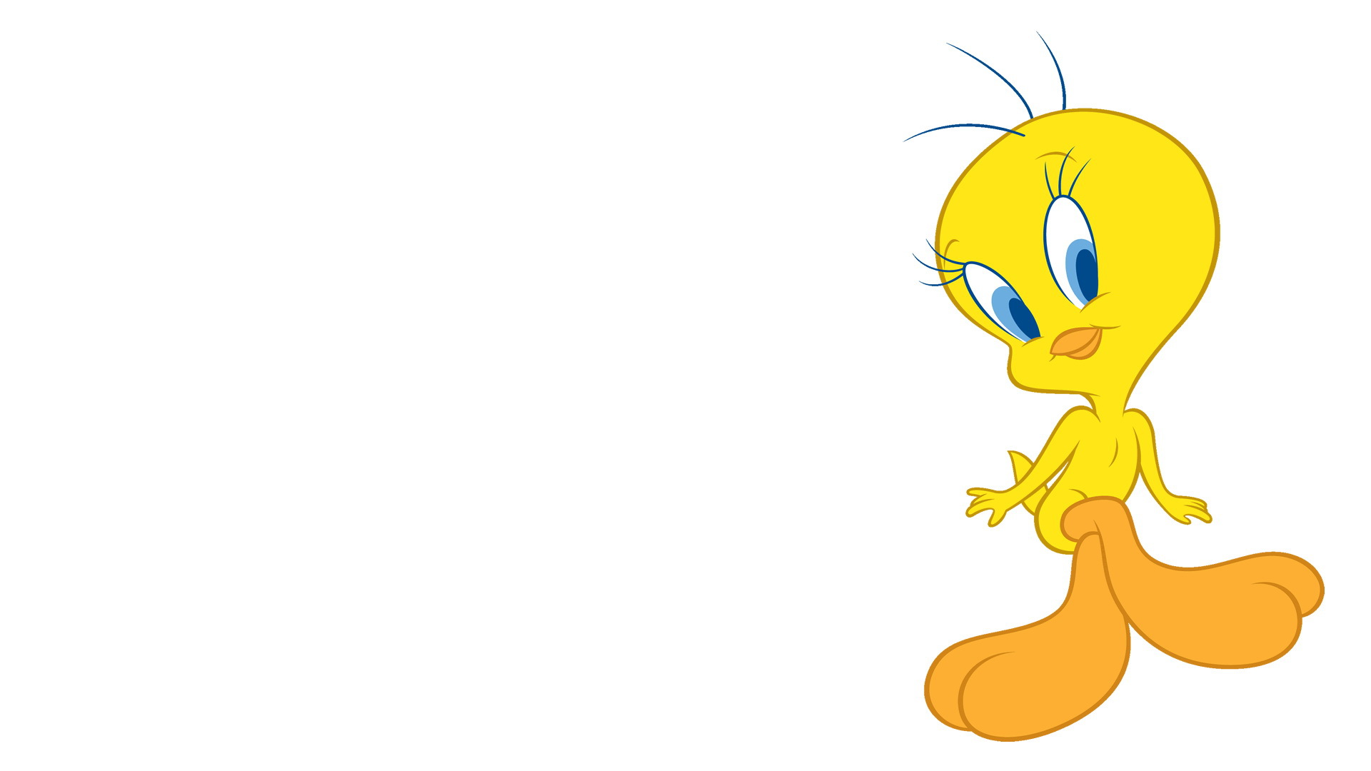 Tweety Wallpaper Image Photos Pictures Background