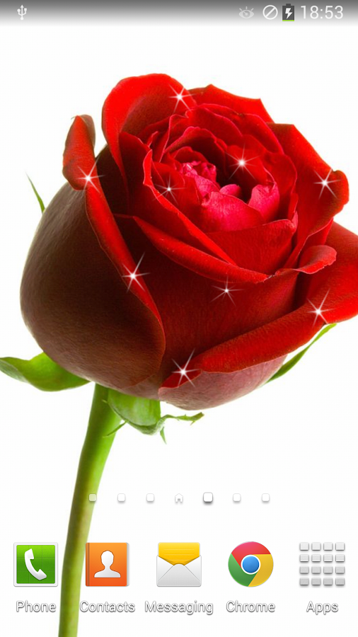 Rose Live Wallpaper   Android Apps on Google Play