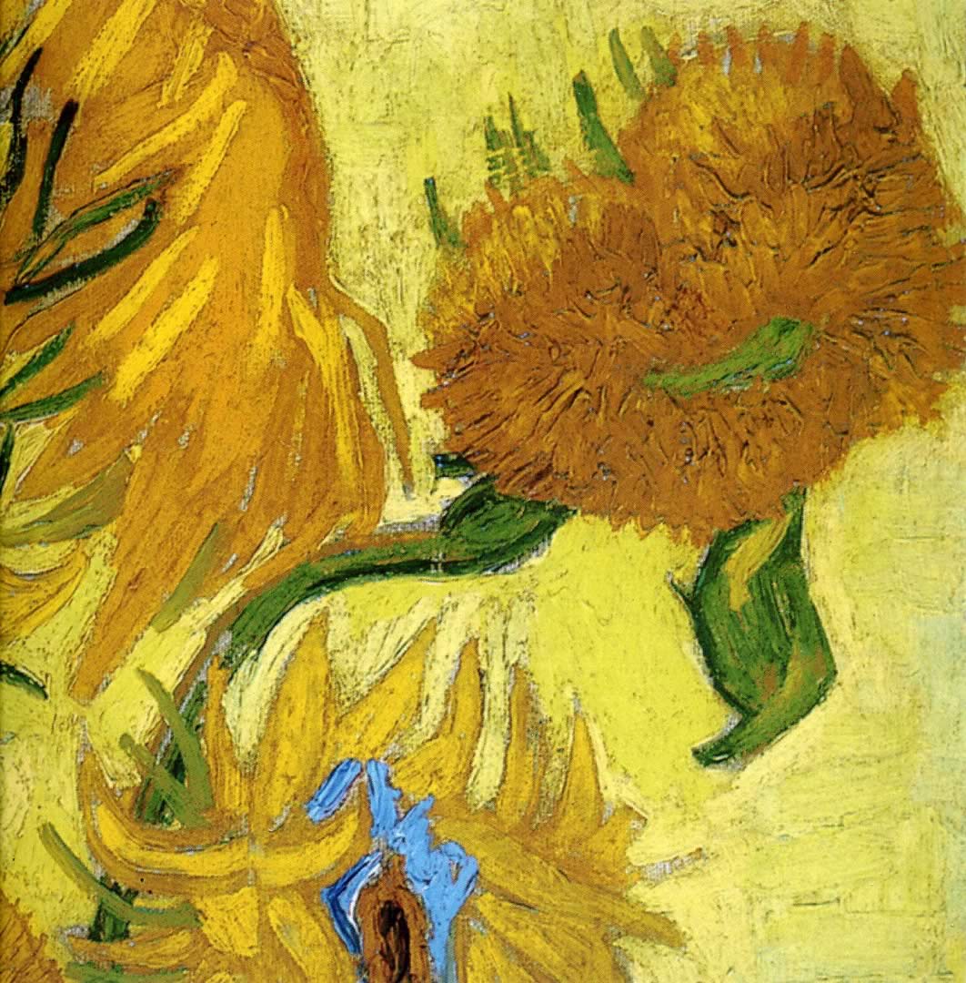 Van Gogh Sunflowers Wallpaper Vincent Sunflower