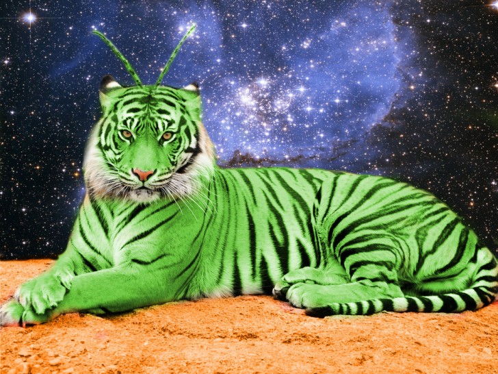 Alien Tiger Wallpaper For Desktop Animal High
