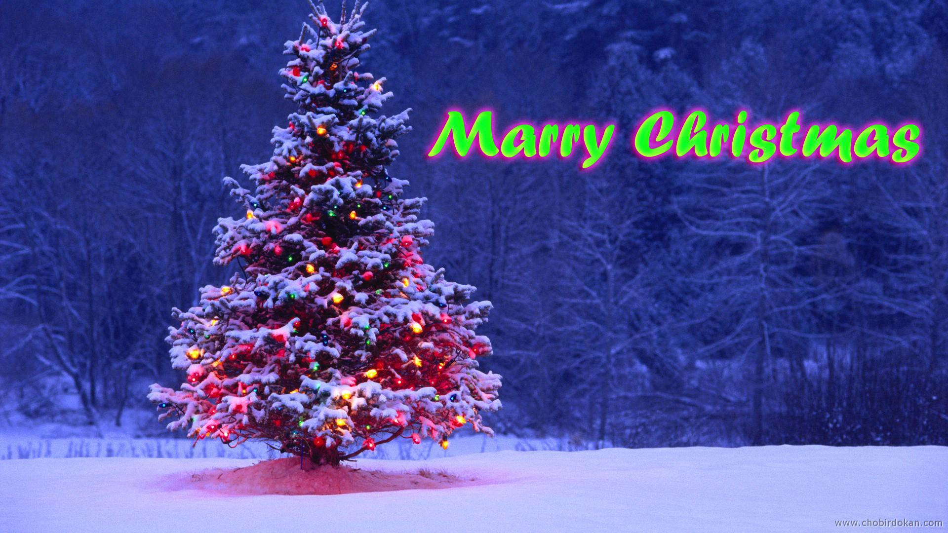 Christmas Merry Tree Image Background