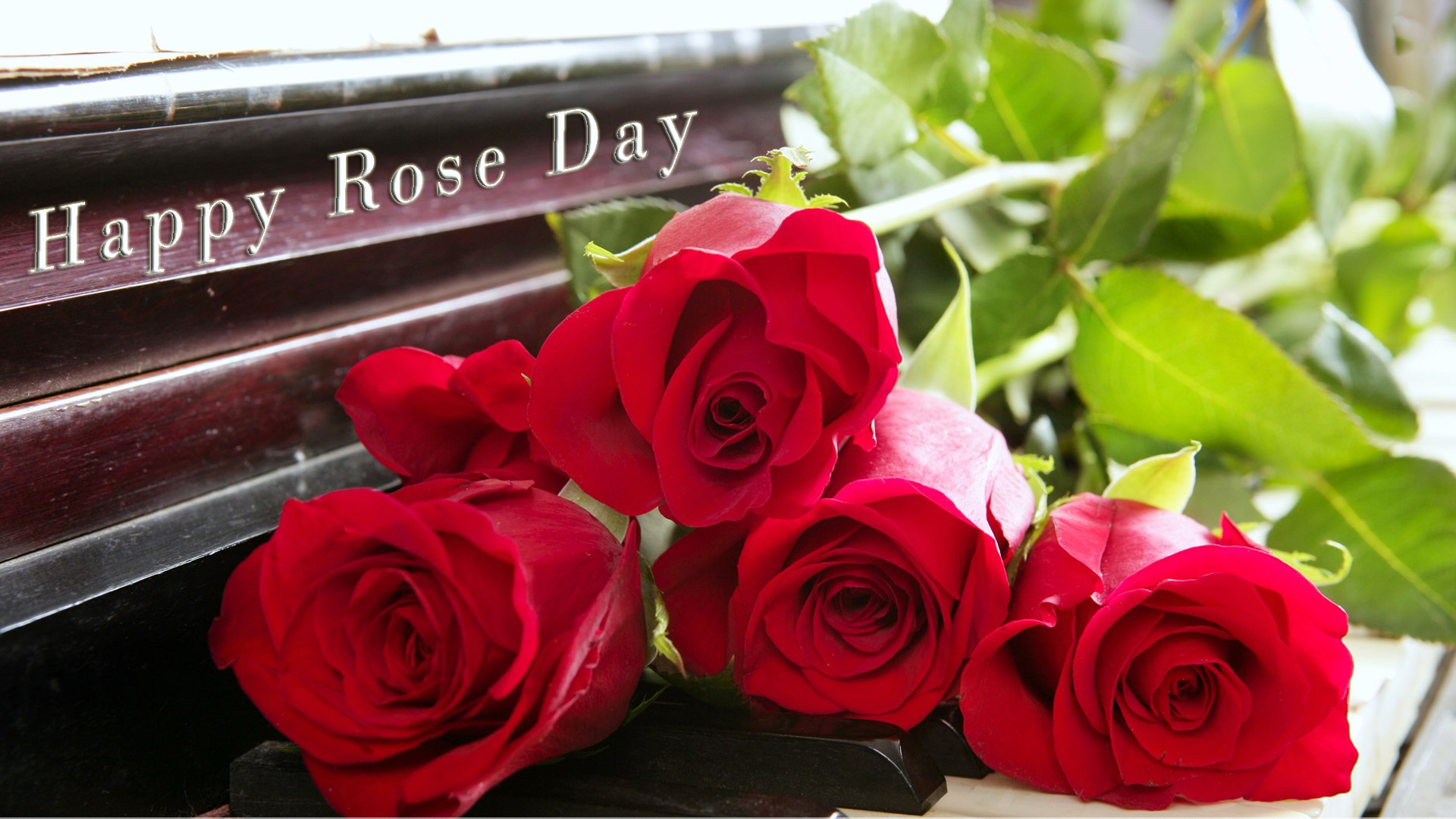Happy Rose Day HD Wallpaper New