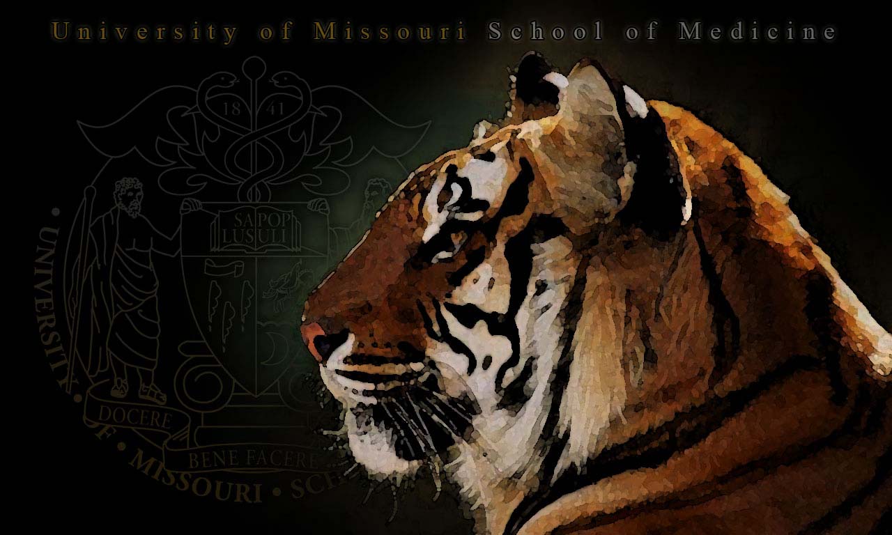 University of Missouri   School of Medicine   Multimedia   Image