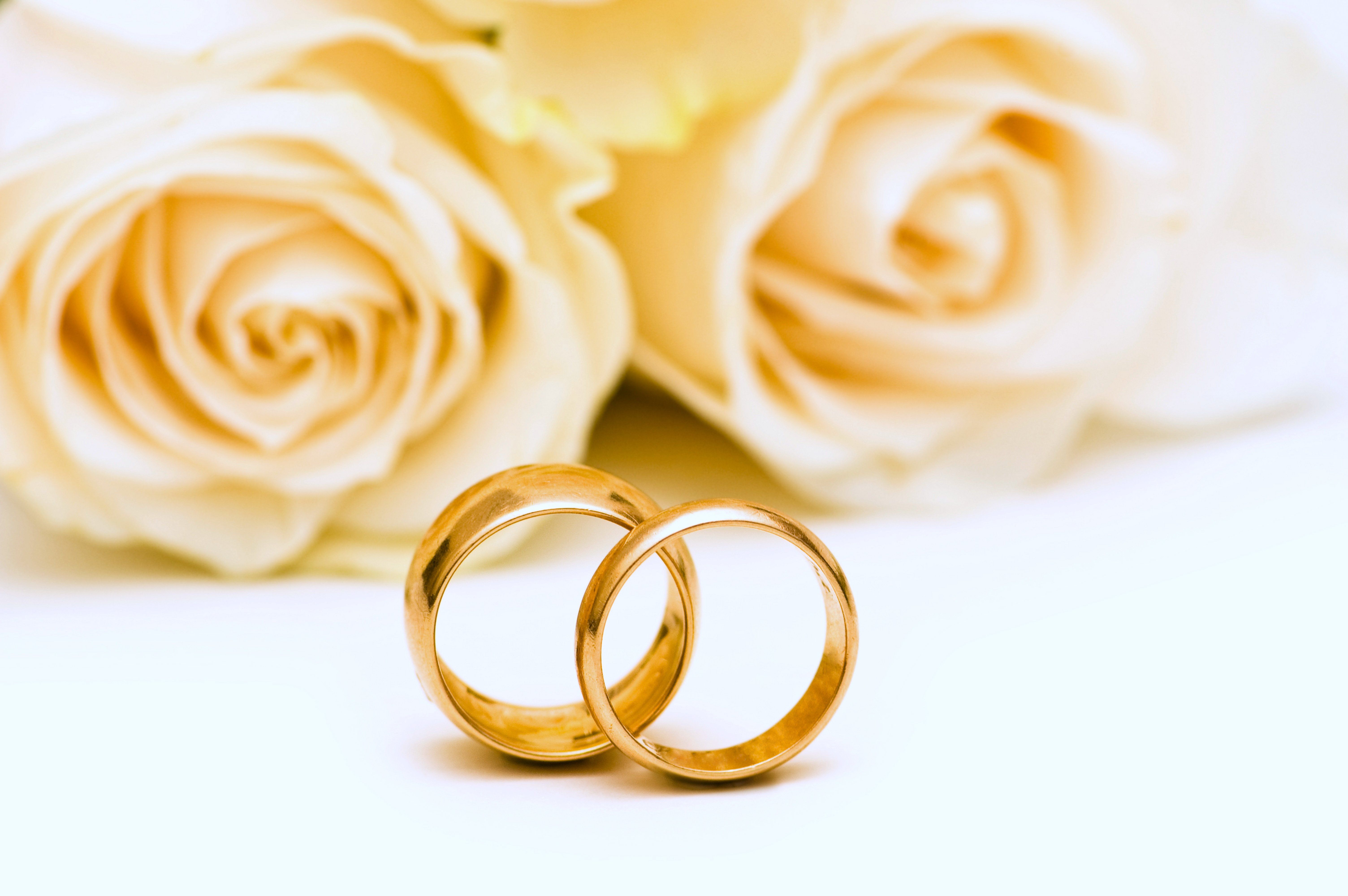 Wedding Rings Roses Flowers Gold Lovers Yellow Romance Emotions Wallpaper