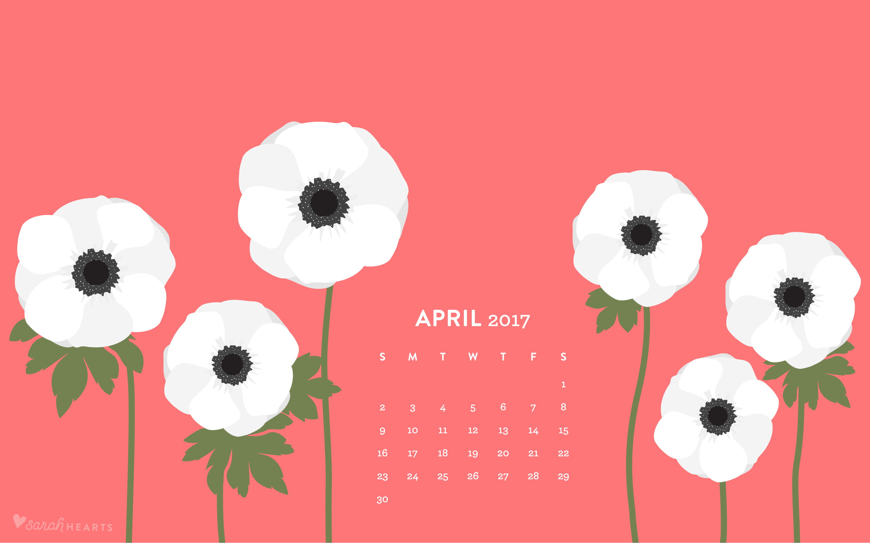 White Anemones April Calendar Wallpaper Sarah Hearts