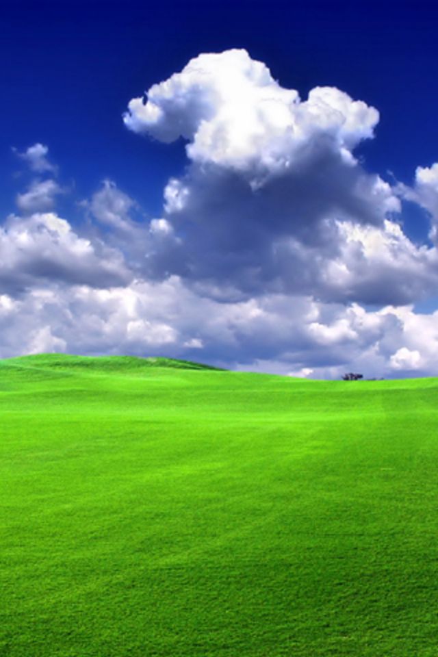 Green Grass iPhone Wallpaper iPhones Ipod Touch Background