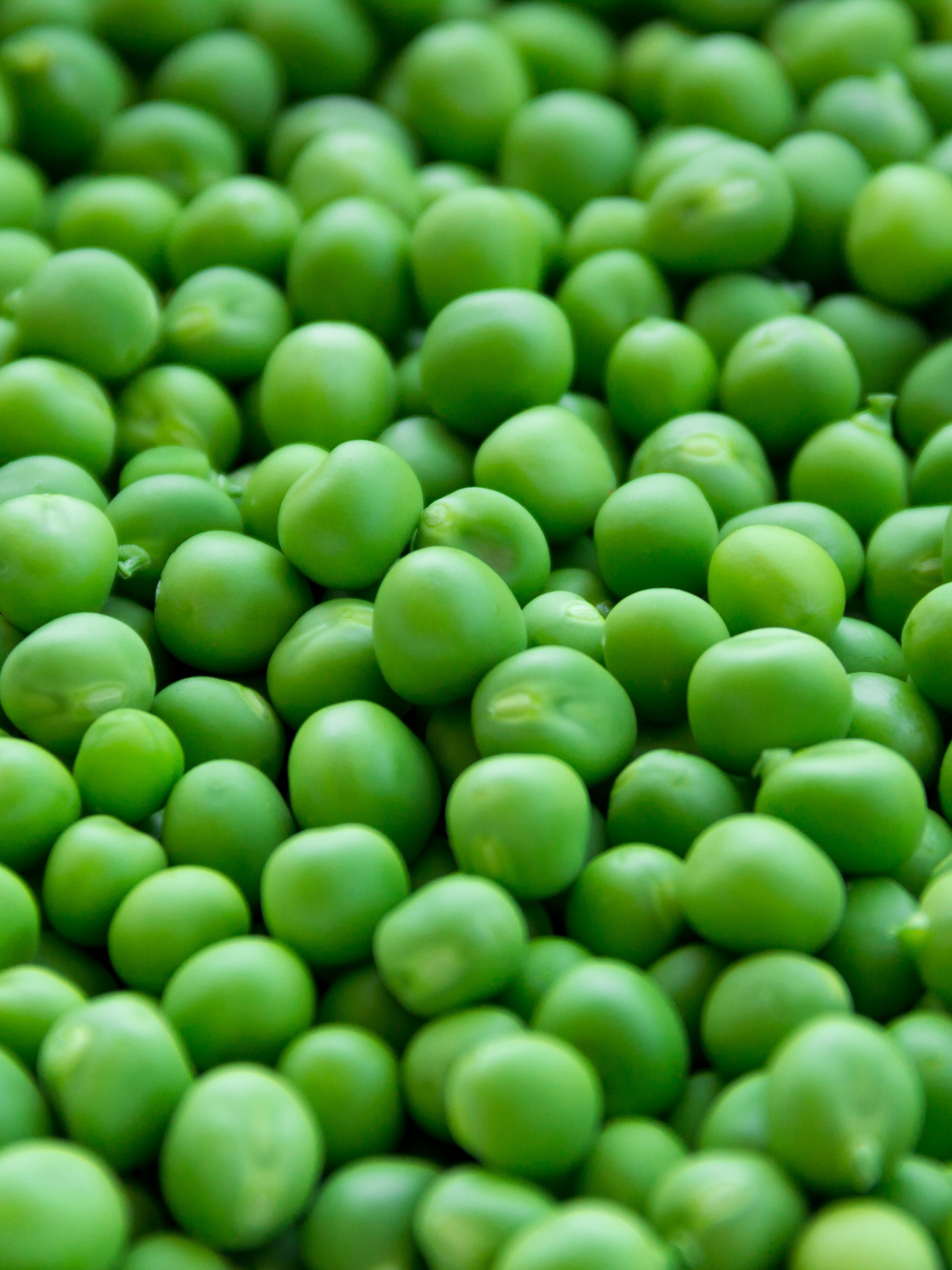 Fresh Peas Wallpaper iPhone Android Desktop Background
