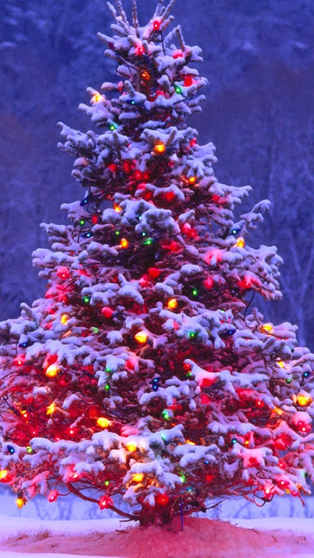 Merry Christmas And Happy New Year iPhone 5s 5c Wallpaper