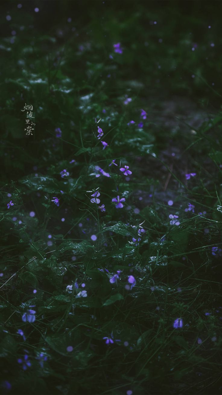 Dark Floral Wallpaper For A Stylish Home Decor