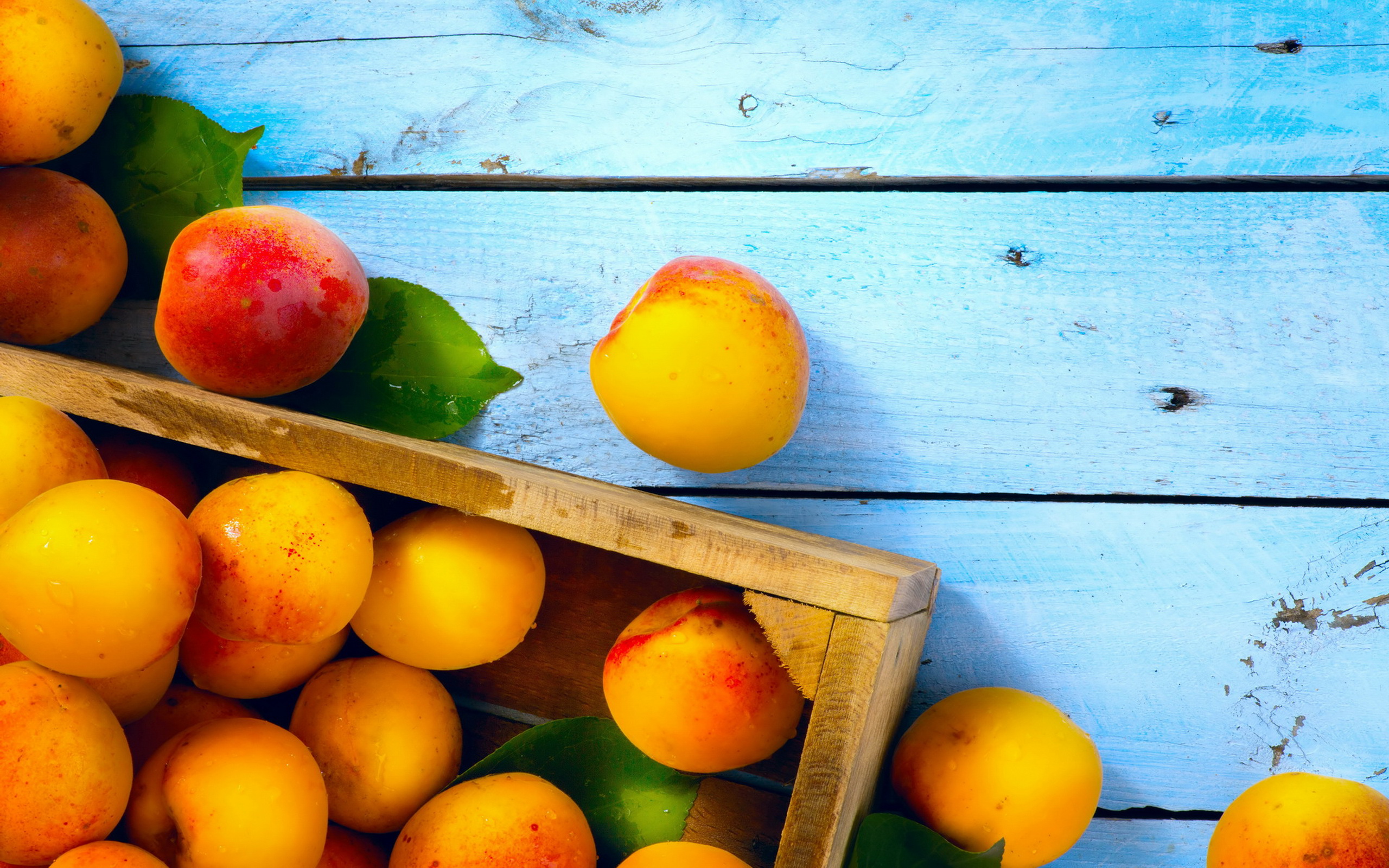 Peach Full HD Wallpaper And Image