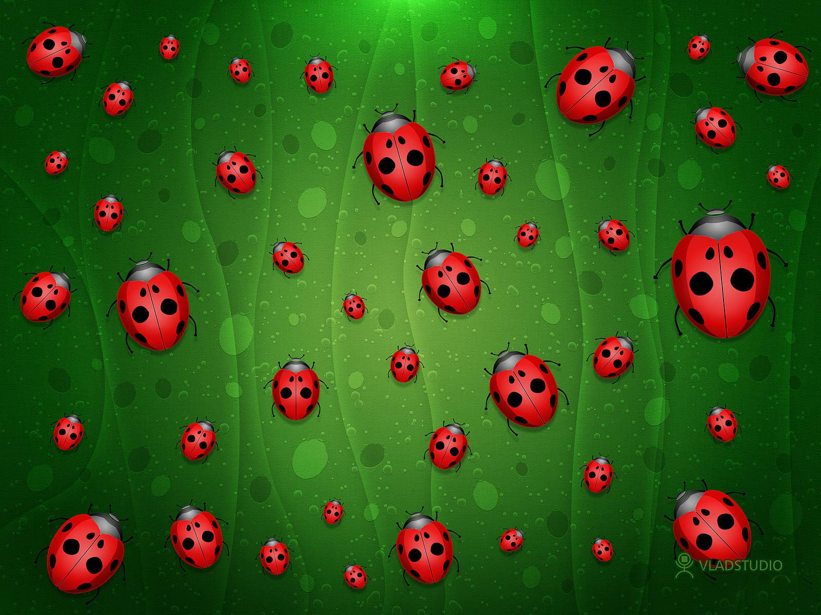 Desktop Full Of Little Ladybugs By Vladstudio