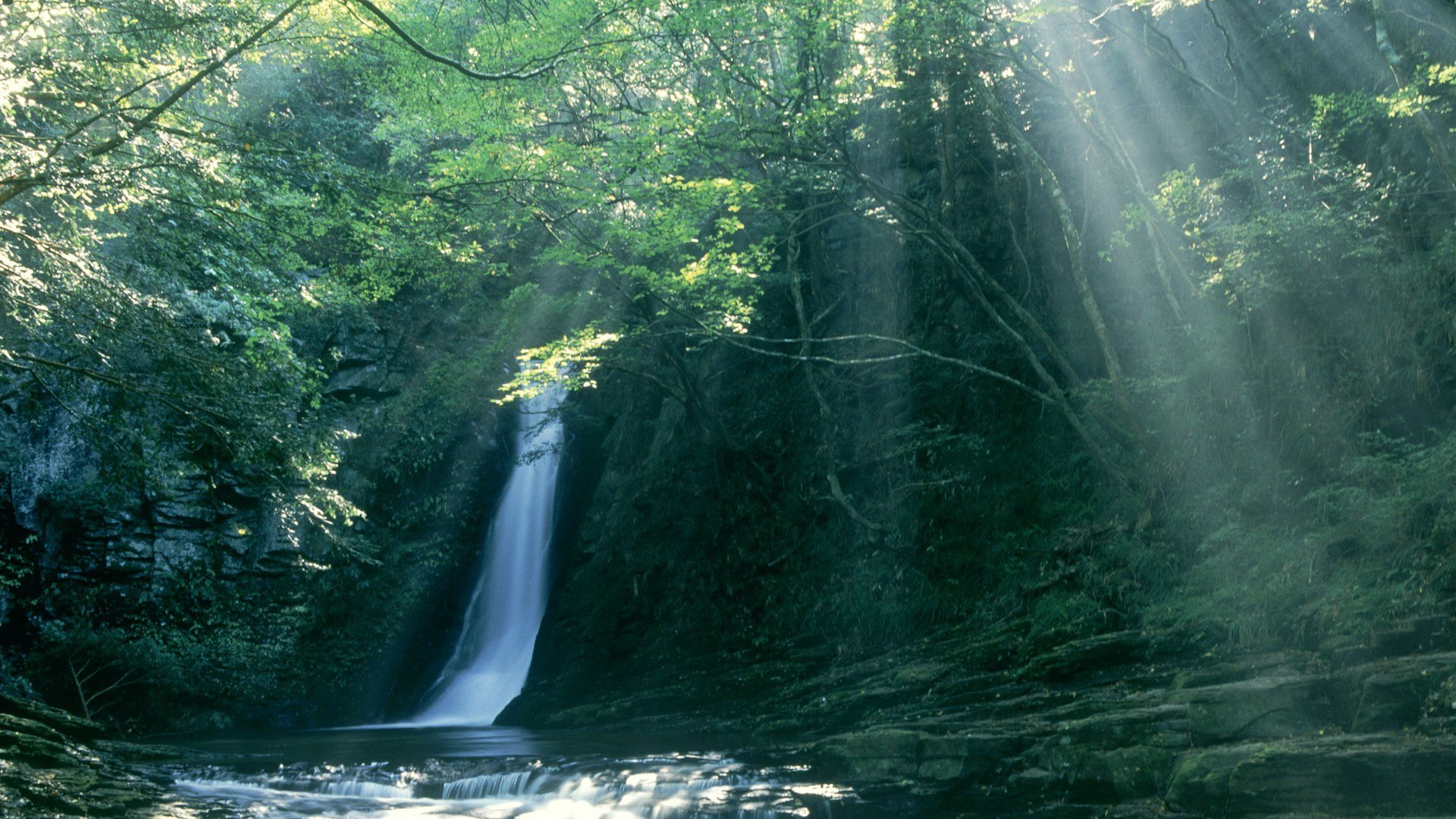 Sun Rays Wallpaper HD
