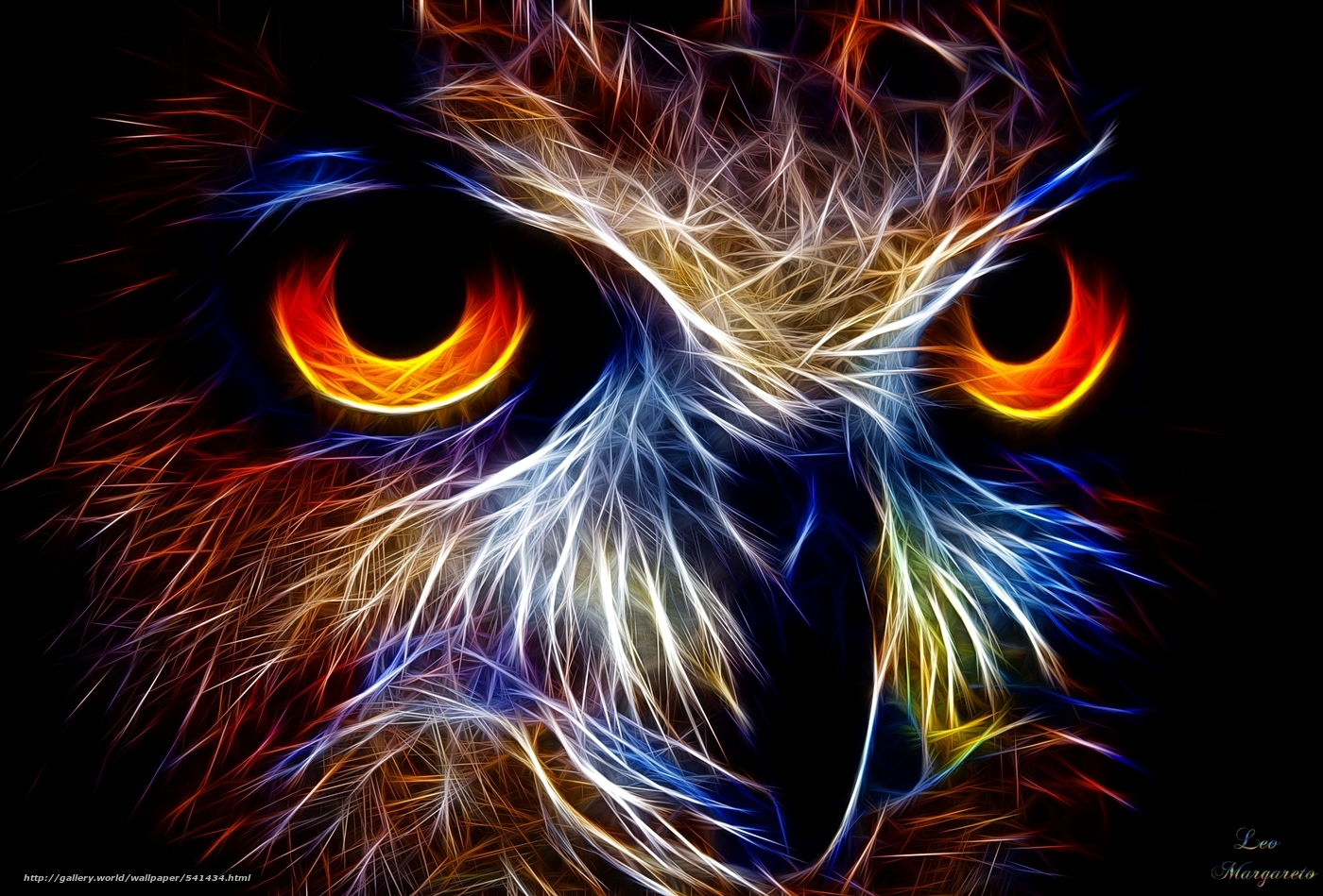 Wallpaper Owl 3d Art Desktop In The