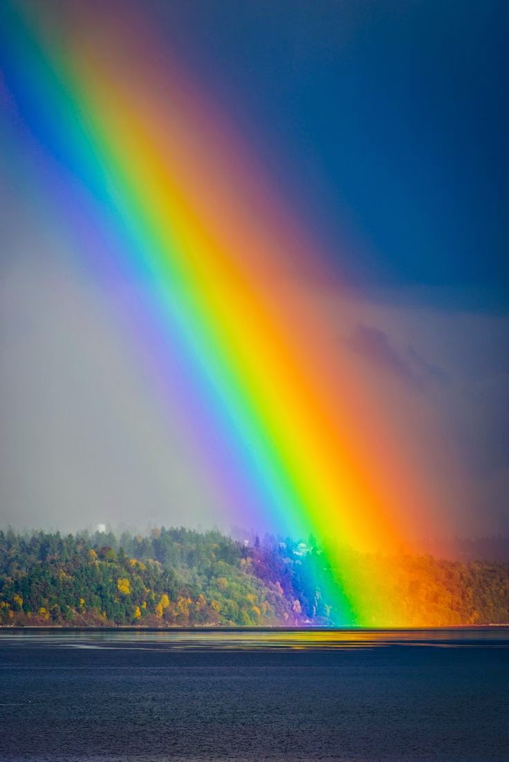 Rainbow 2bending 2bin 2btramp 2bharbor 2bthe 2bpuget 2bsound 2bnear 2bwest 2bseattle 2bwa Wallpaper