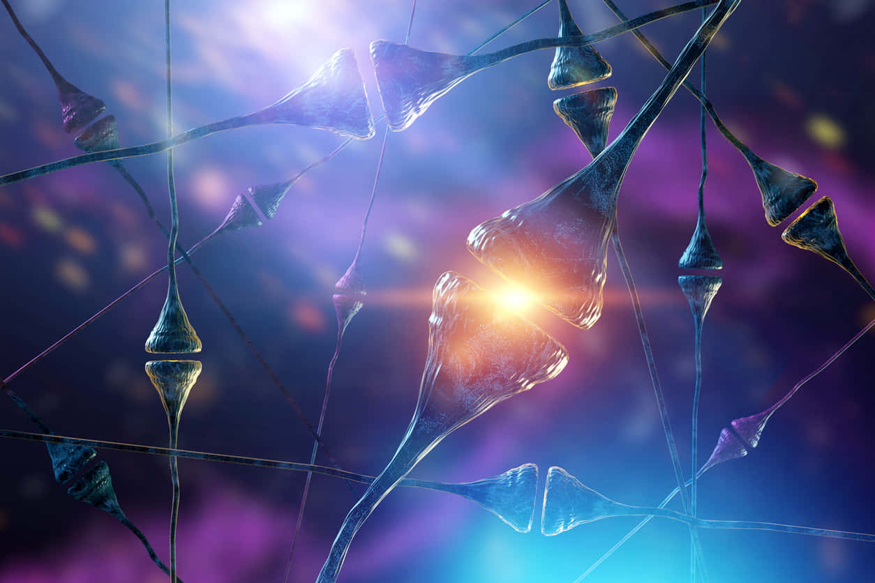 Intricate Interplay Wallpaper
