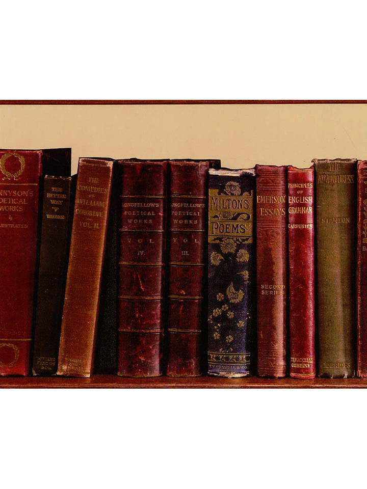 Library Books On Wood Grain Shelf Wallpaper Border Ll50311b Fg50311b