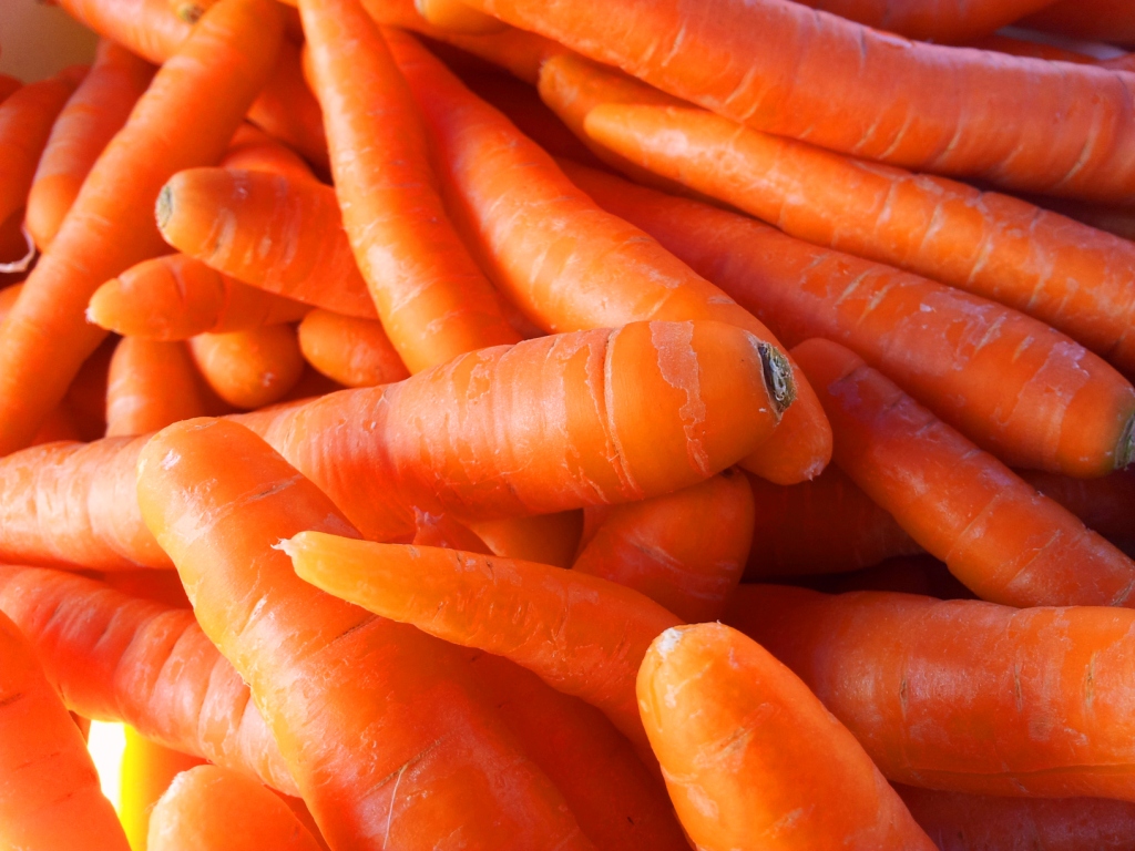 HD Carrot Wallpaper Best Pictures Collection