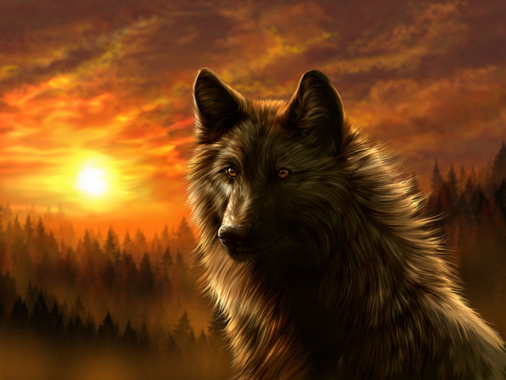 Dark Wolf Wallpaper Best HD