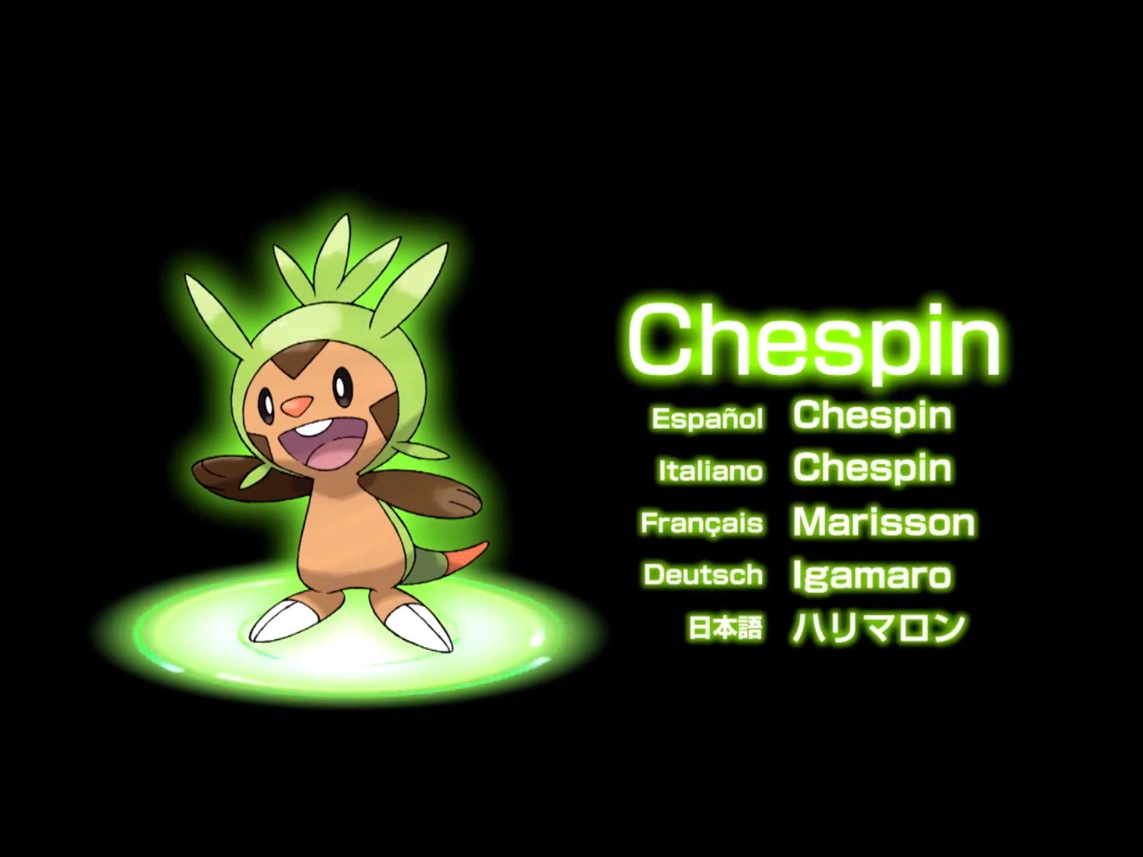 Chespin Wallpaper For