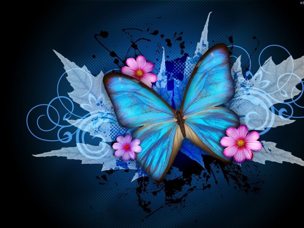 Hình nền máy tính bướm (Butterflies desktop backgrounds): Những hình nền máy tính bướm đang đợi bạn khám phá. Hãy thay đổi không gian làm việc của bạn với những hình ảnh màu sắc và cuốn hút này và tận hưởng sự mới mẻ và độc đáo.