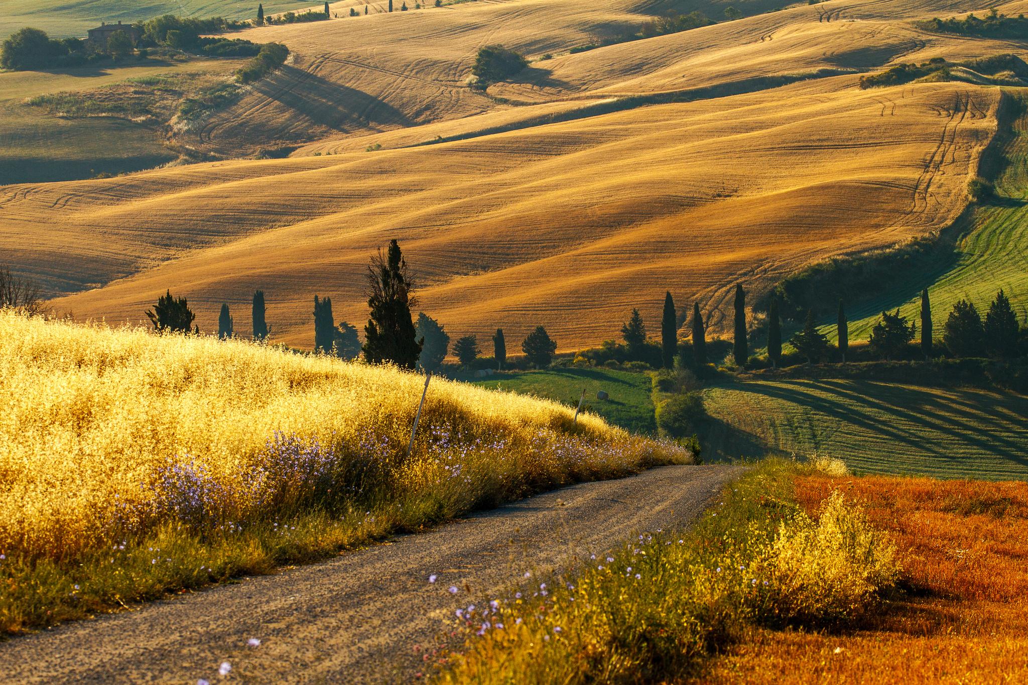 Italy Countryside Wallpaper On