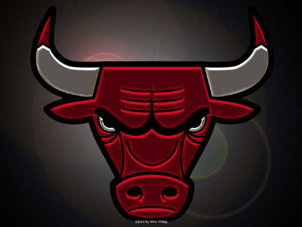 The Bulls Logo Chicago Photo
