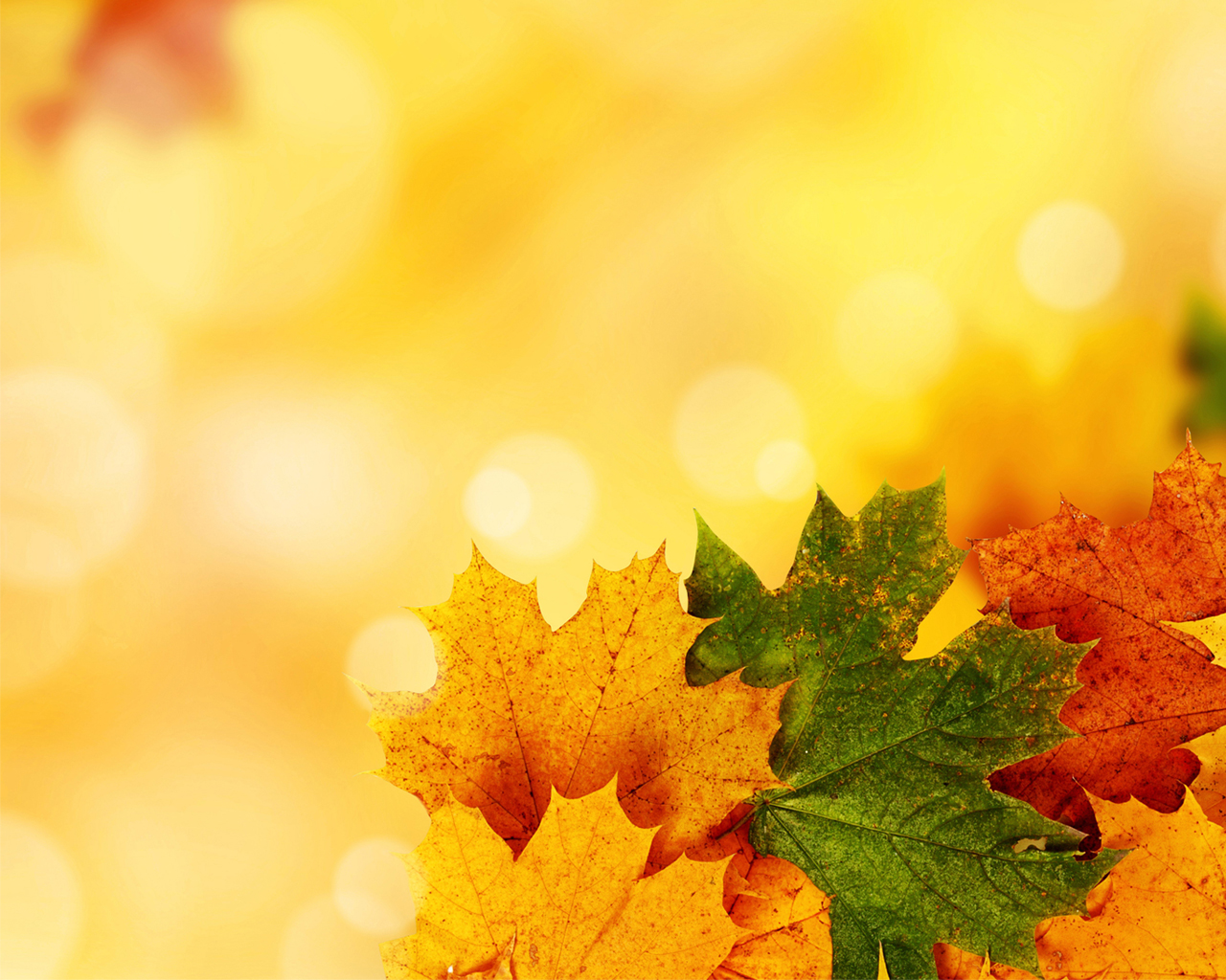 This is the Yellow Autumn background image You can use PowerPoint