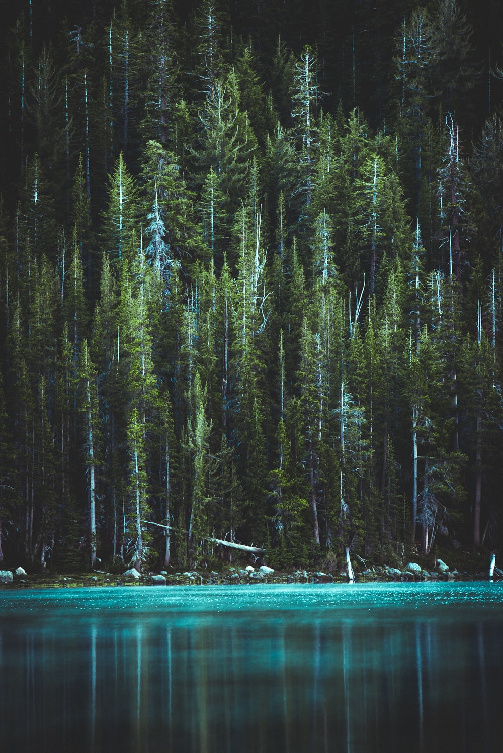 750 Vertical Landscape Pictures [Stunning] Download Free