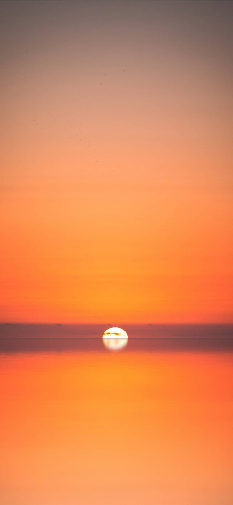 Interesting Sunset Beach iPhone Wallpaper
