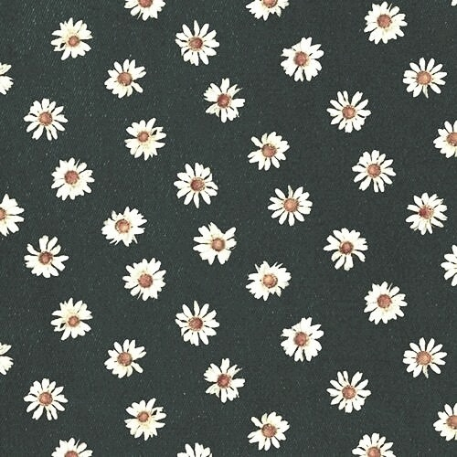 daisy flowers iphone wallpaper