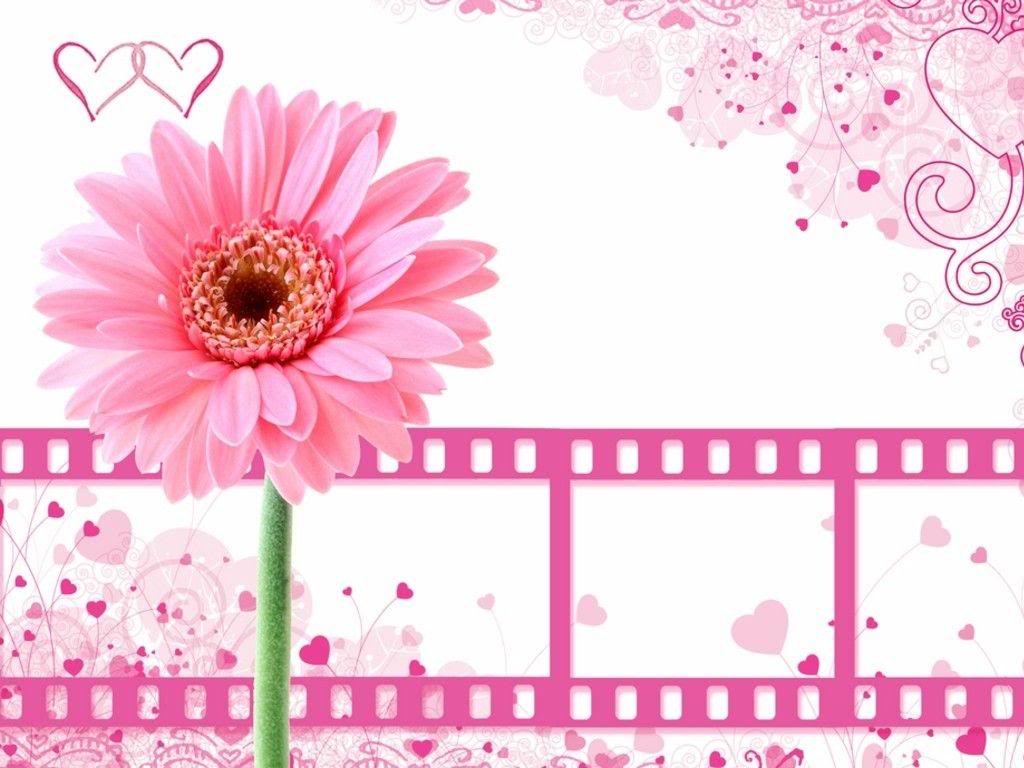 Pretty Pink Flower With Film Clips Power Point Background