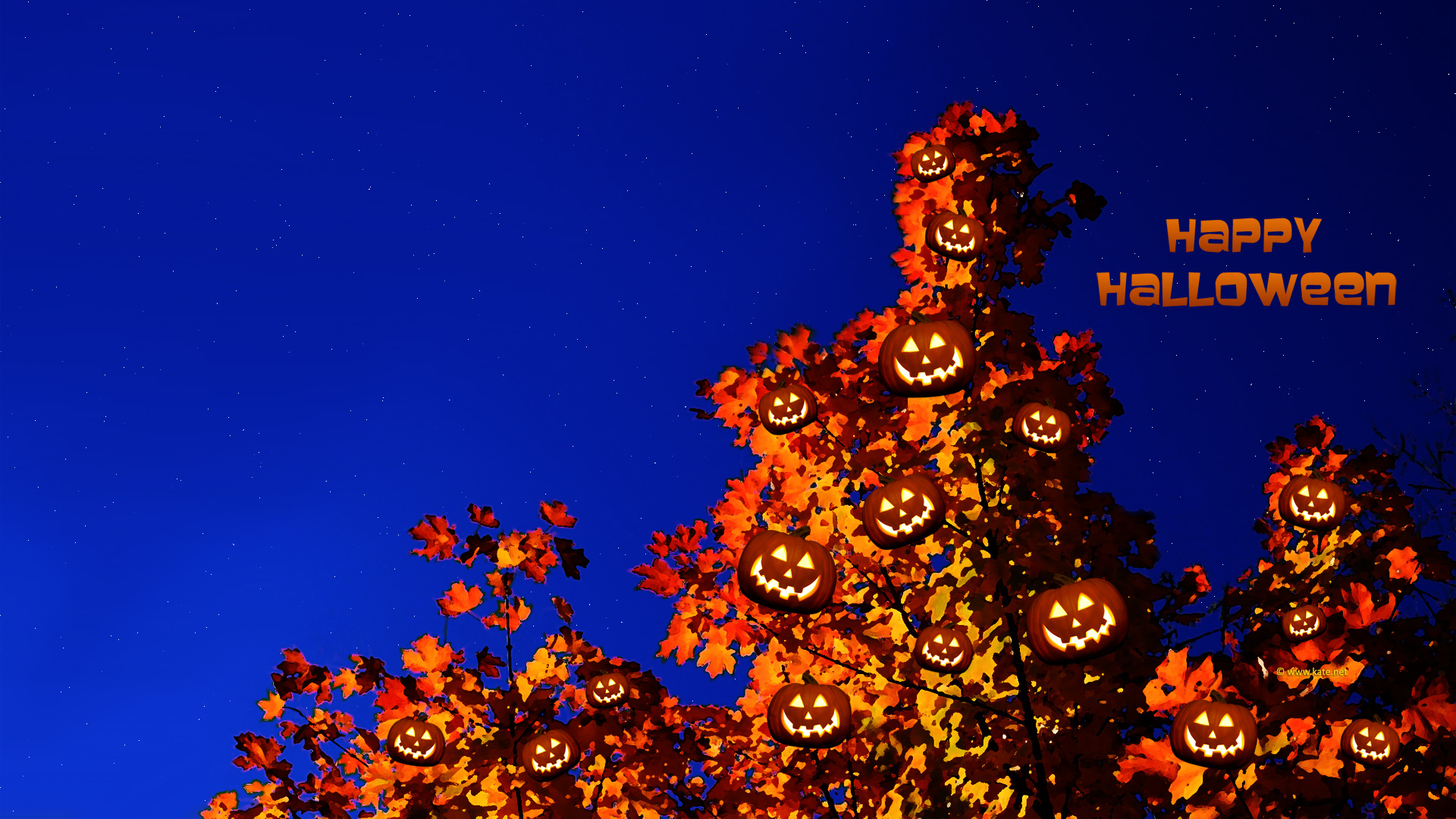 Holidays Halloween Kate Wallpaper HD