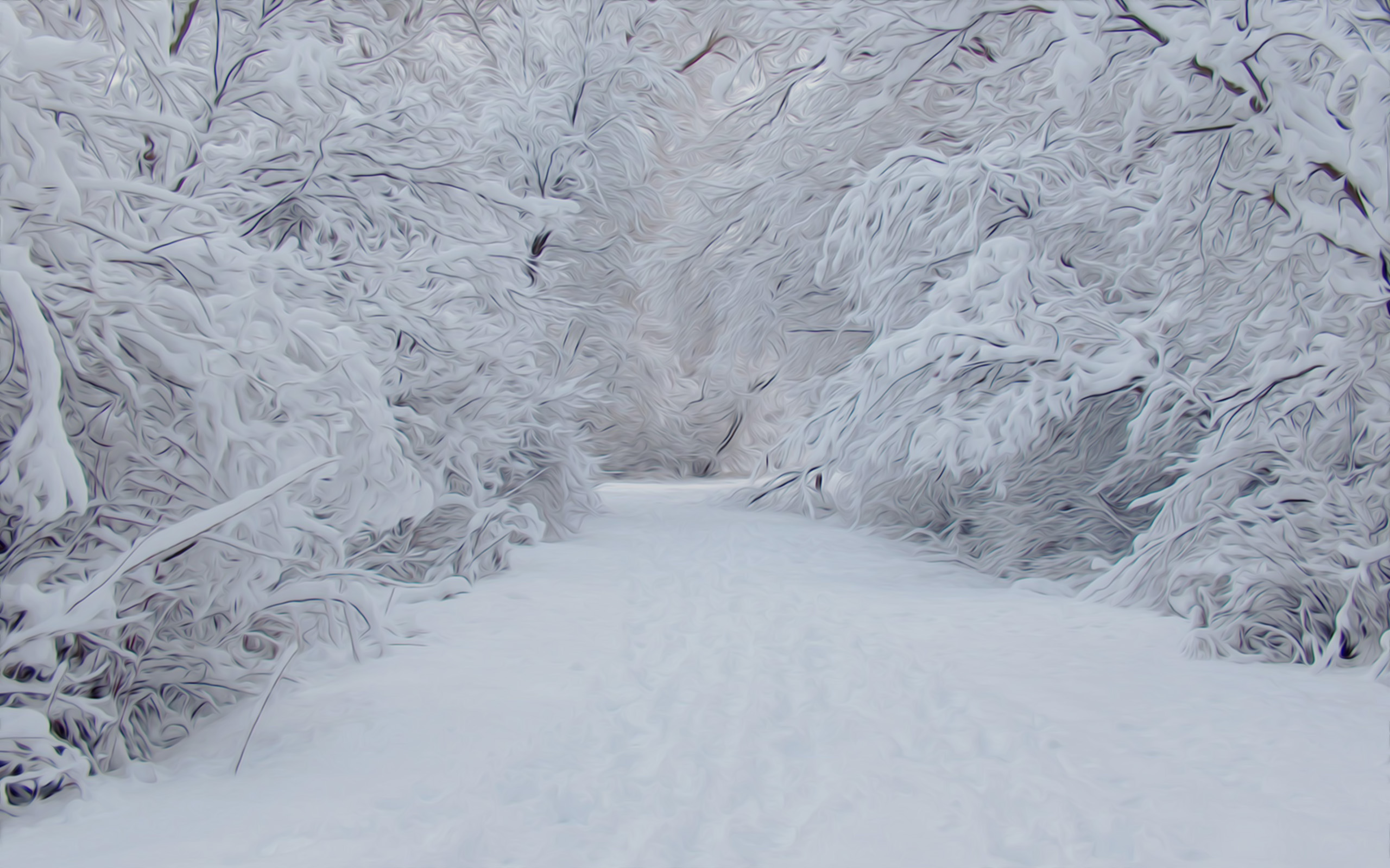 Free download Winter images snowy snow HD wallpaper and background