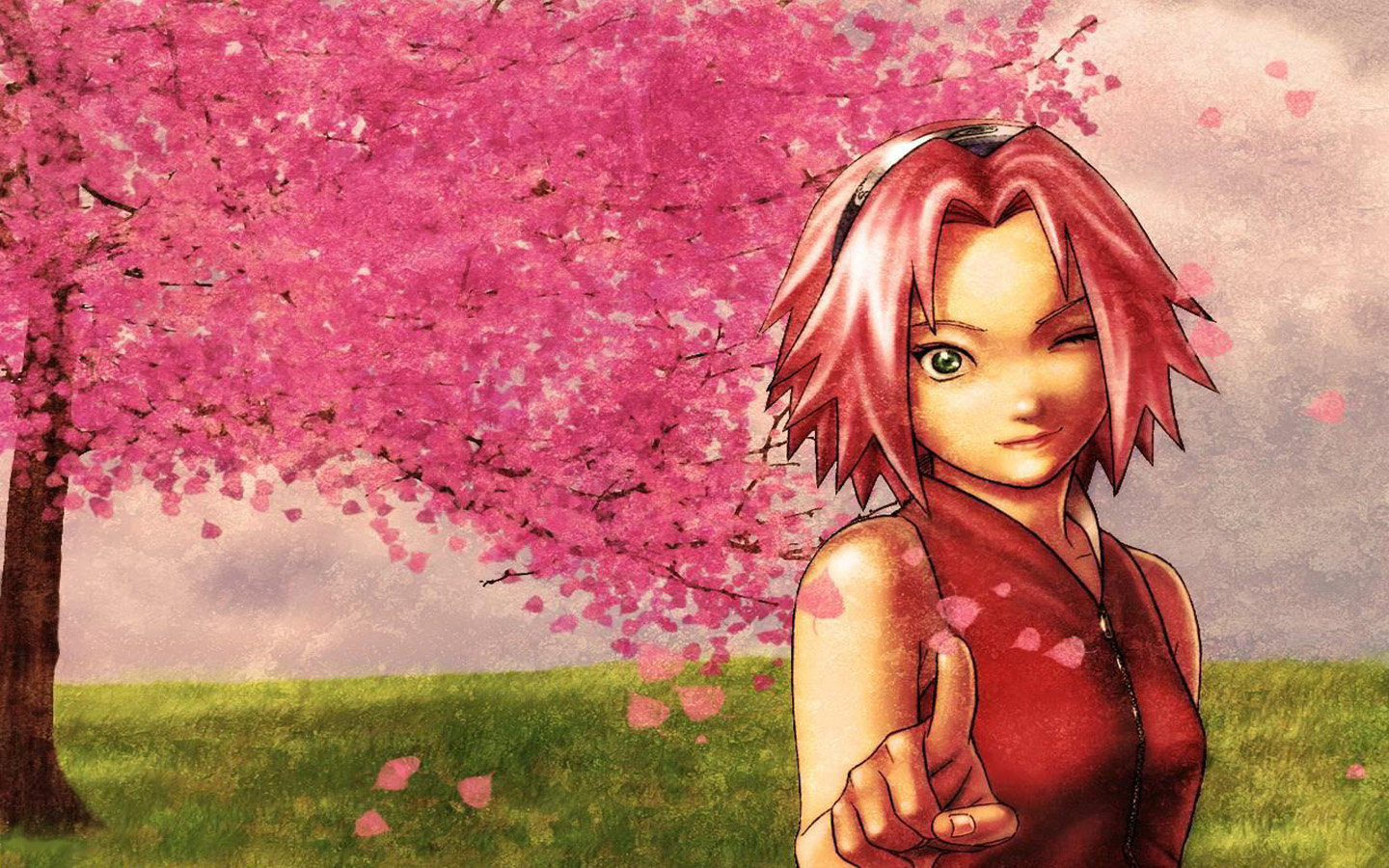 The Naruto Anime Wallpaper Titled Sakura Haruno