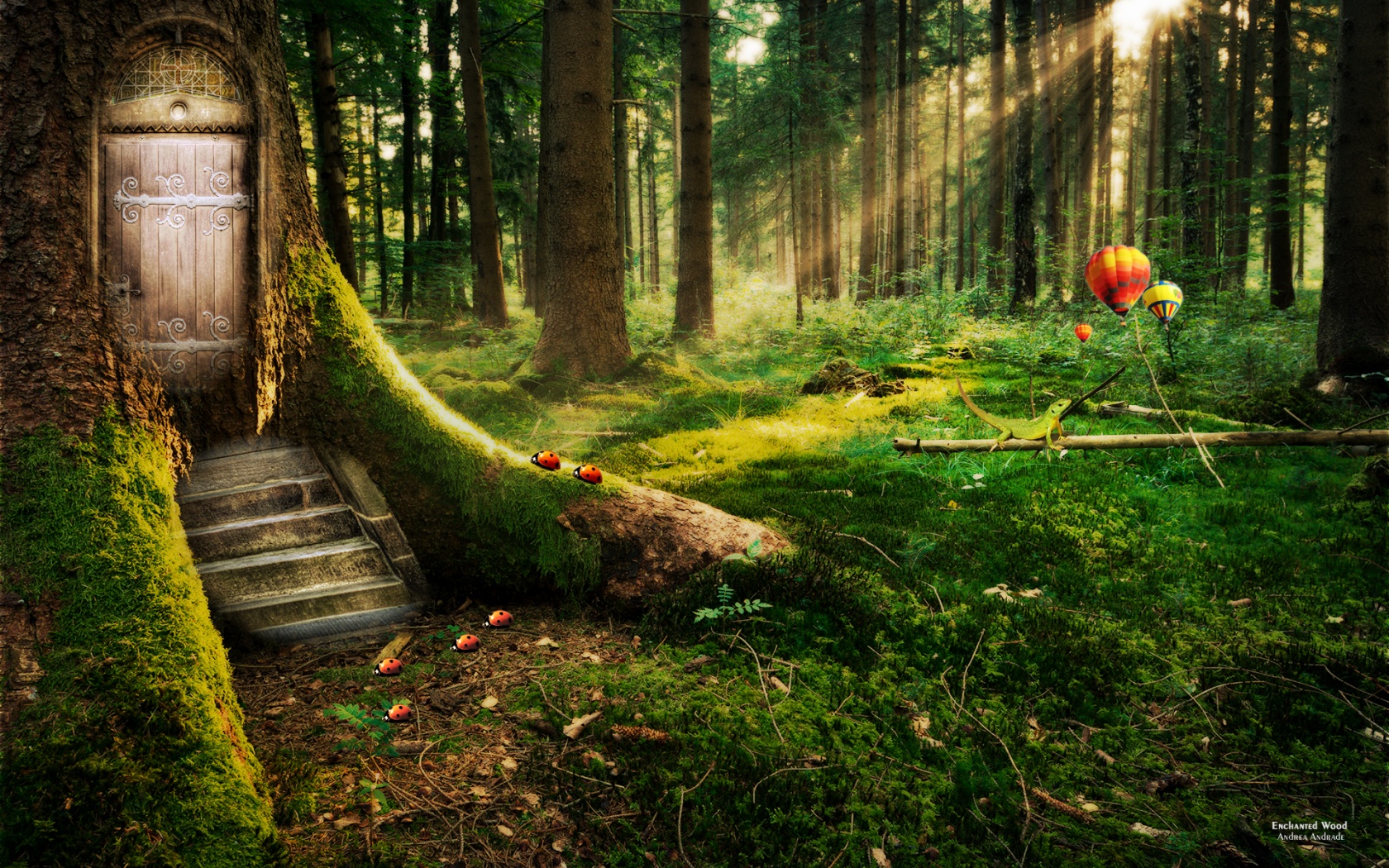 Enchanted Forest Wallpapers HD Wallpapers 1680x1050