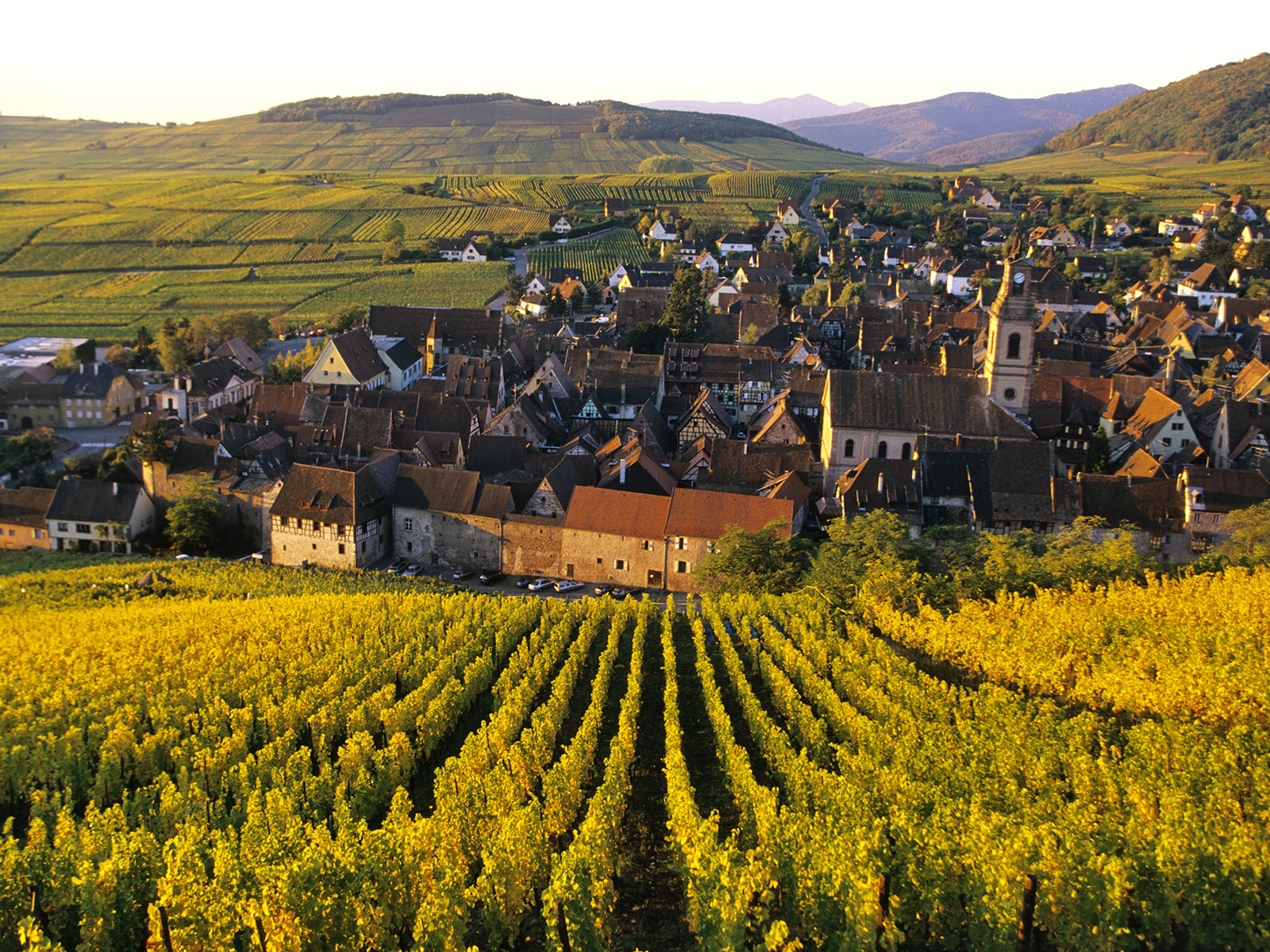 City Of Vineyards In Alsace France Wallpaper And Image