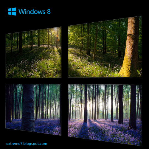 Microsoft Official Forests Panoramic Theme For Windows Extreme