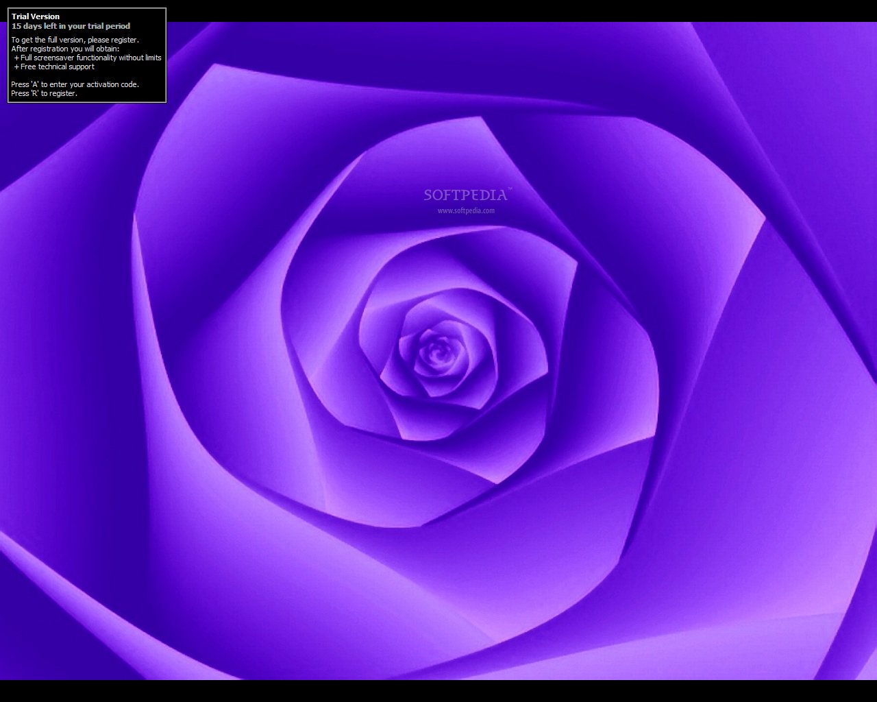 The Fractal Roses Screensaver Will Allow You To See On Your Desktop