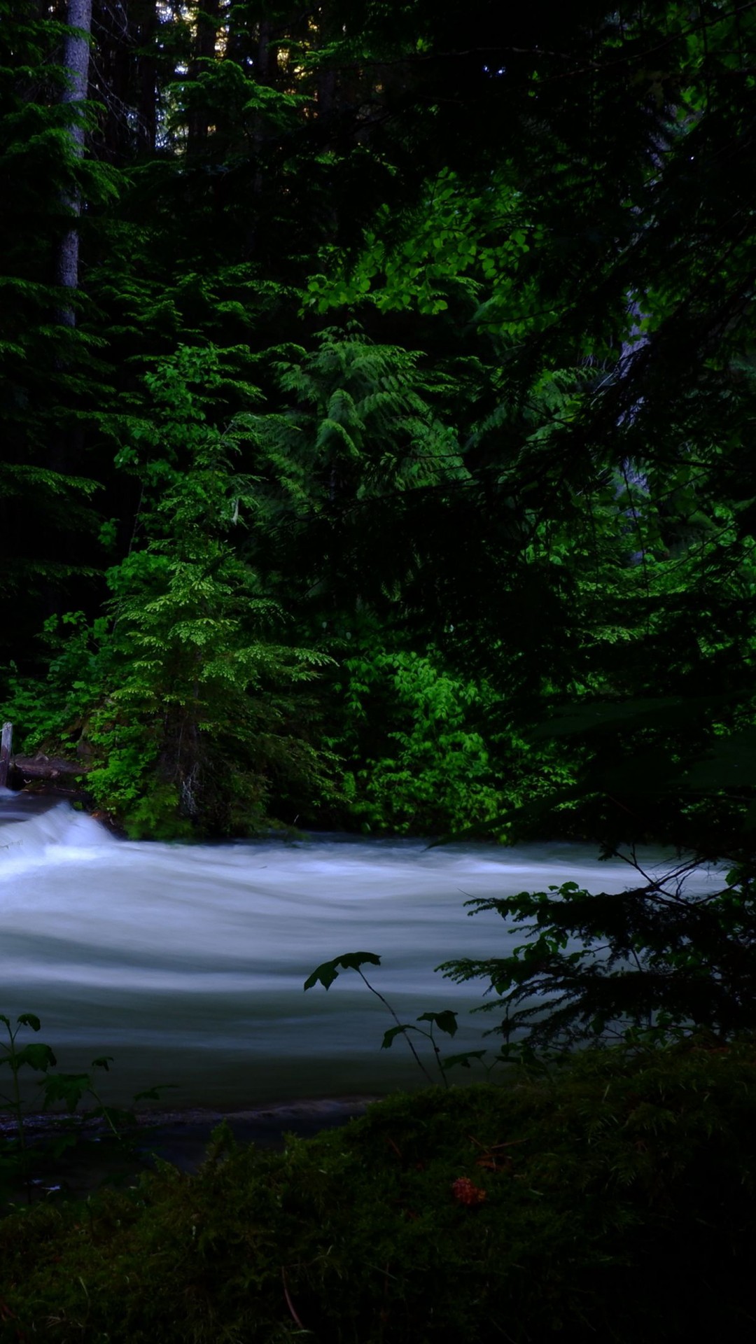 Dark Nature HD Wallpaper