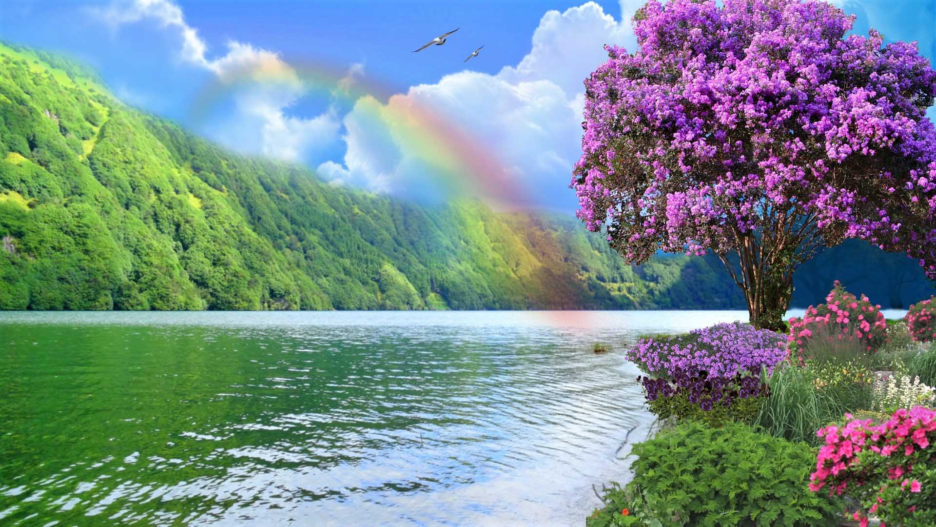 35 Natural Rainbow Hd Wallpapers Wallpapersafari