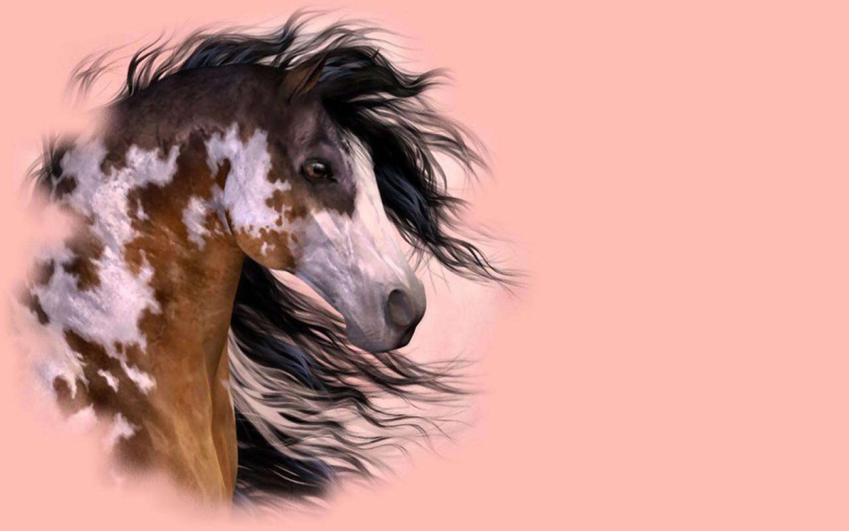 Pictures Paint Horse Wallpaper Light