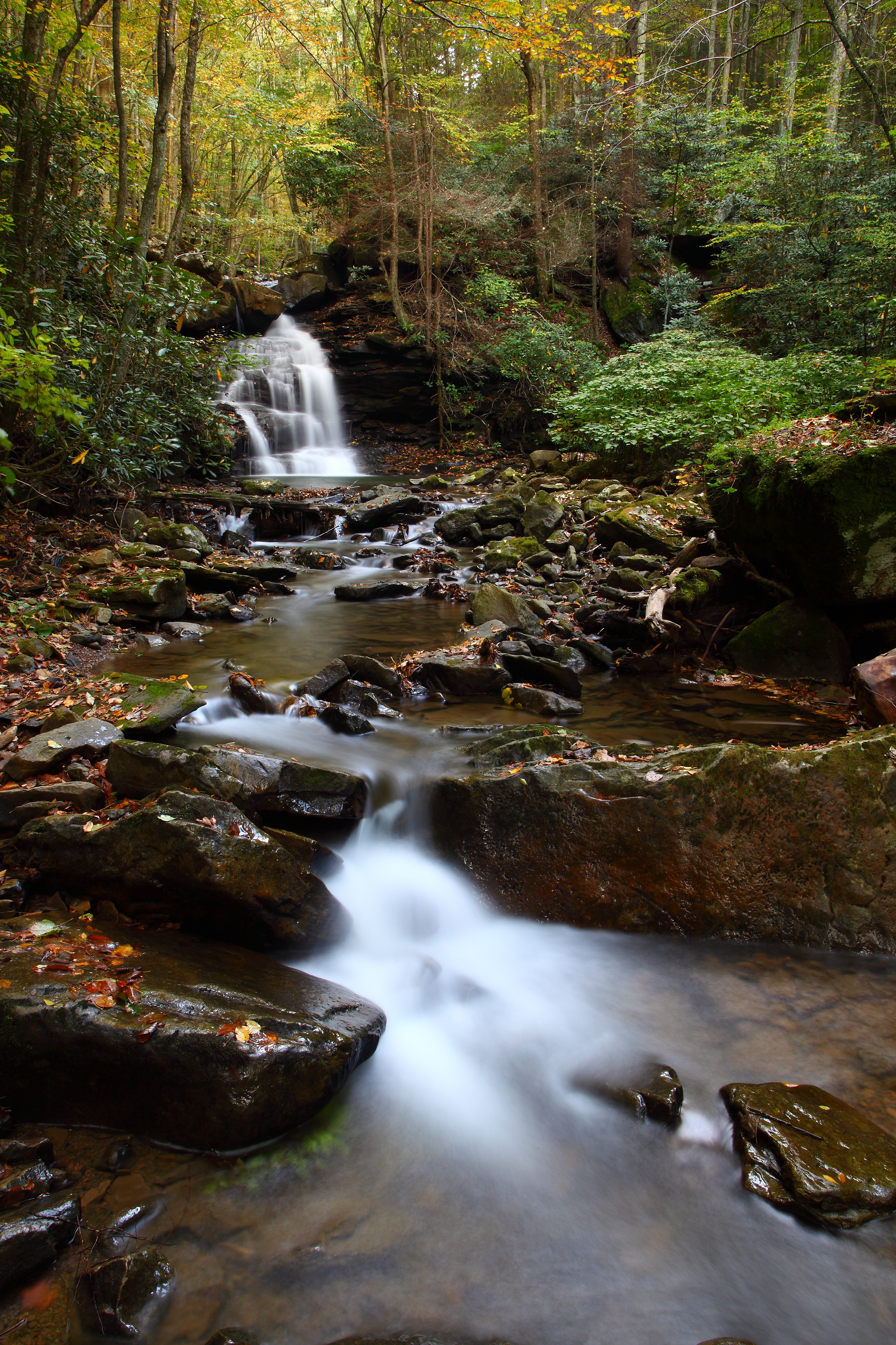 Keeny Creek Wv Autumn Waterfall Scenery Creeks Streams