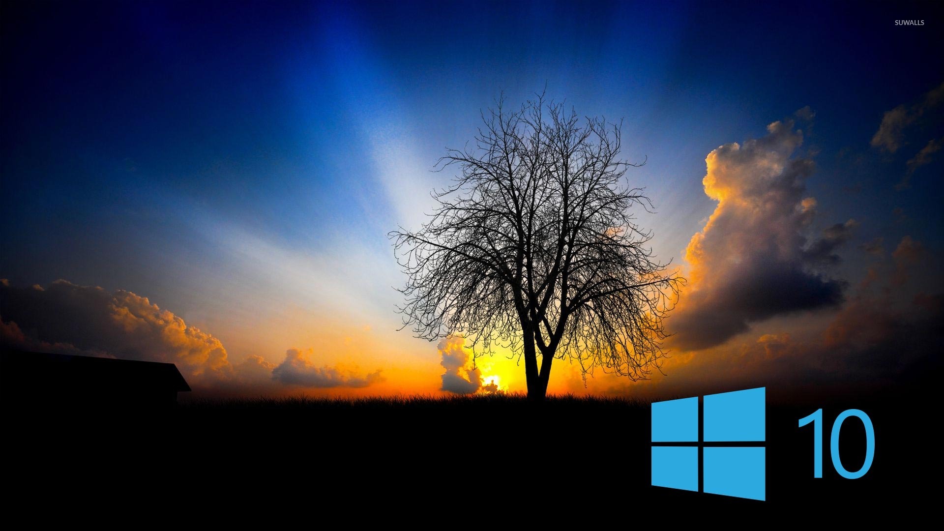 Windows 10 sunset wallpaper with silhouette of a tree